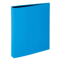 Ringbuch A4