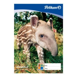 Pelikan Zeichenblock A4 20 Blatt, TCF-100g-m² 9 Pelikan Zeichenblock A4 20 Blatt, TCF-100g-m² -Schule Deutschland Verkaufs-Shop 224824 2007 zeichenbl c420 2 2542 klein