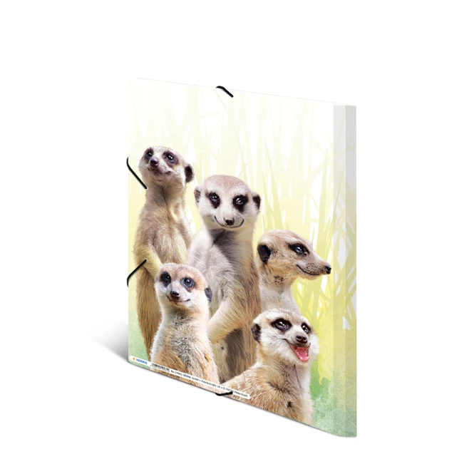 Sammlemappe DIN A4 - Erdmännchentruppe 3 Sammlemappe DIN A4 - Erdmännchentruppe – Bild 3