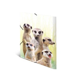 Sammelmappe DIN A3 - Erdmännchentruppe