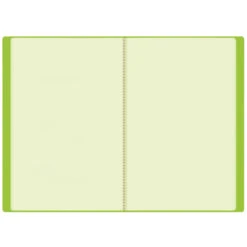 Roth Zeugnismappe - Tyrannosaurus - DIN A4