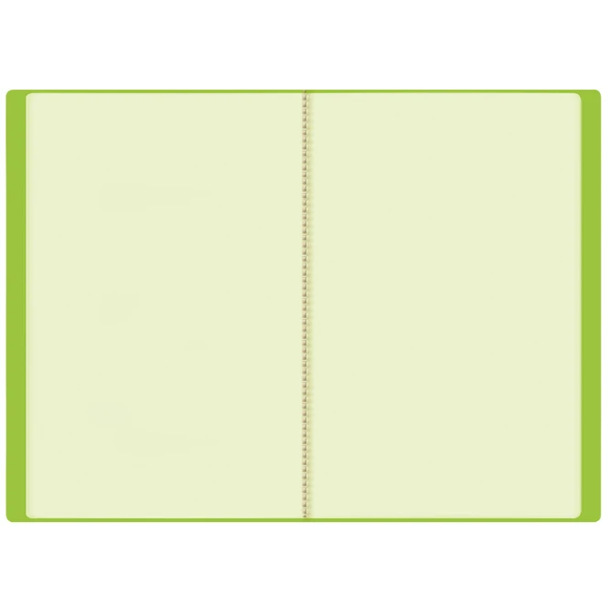 Roth Zeugnismappe - Tyrannosaurus - DIN A4 1 Roth Zeugnismappe - Tyrannosaurus - DIN A4