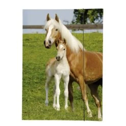 Gummizugmappe - DIN A3 - Tiermotiv - 1 Stück