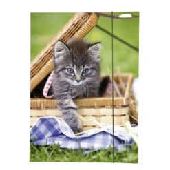 Gummizugmappe - DIN A3 - Tiermotiv - 1 Stück -Schule Deutschland Verkaufs-Shop 4016096581206 gummizugmappe tiermotiv mietzetatze