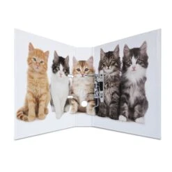 Ordner DIN A4 - Herma - Katzen